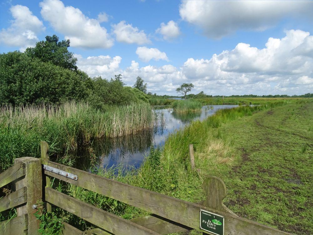 NP De Alde Feanen